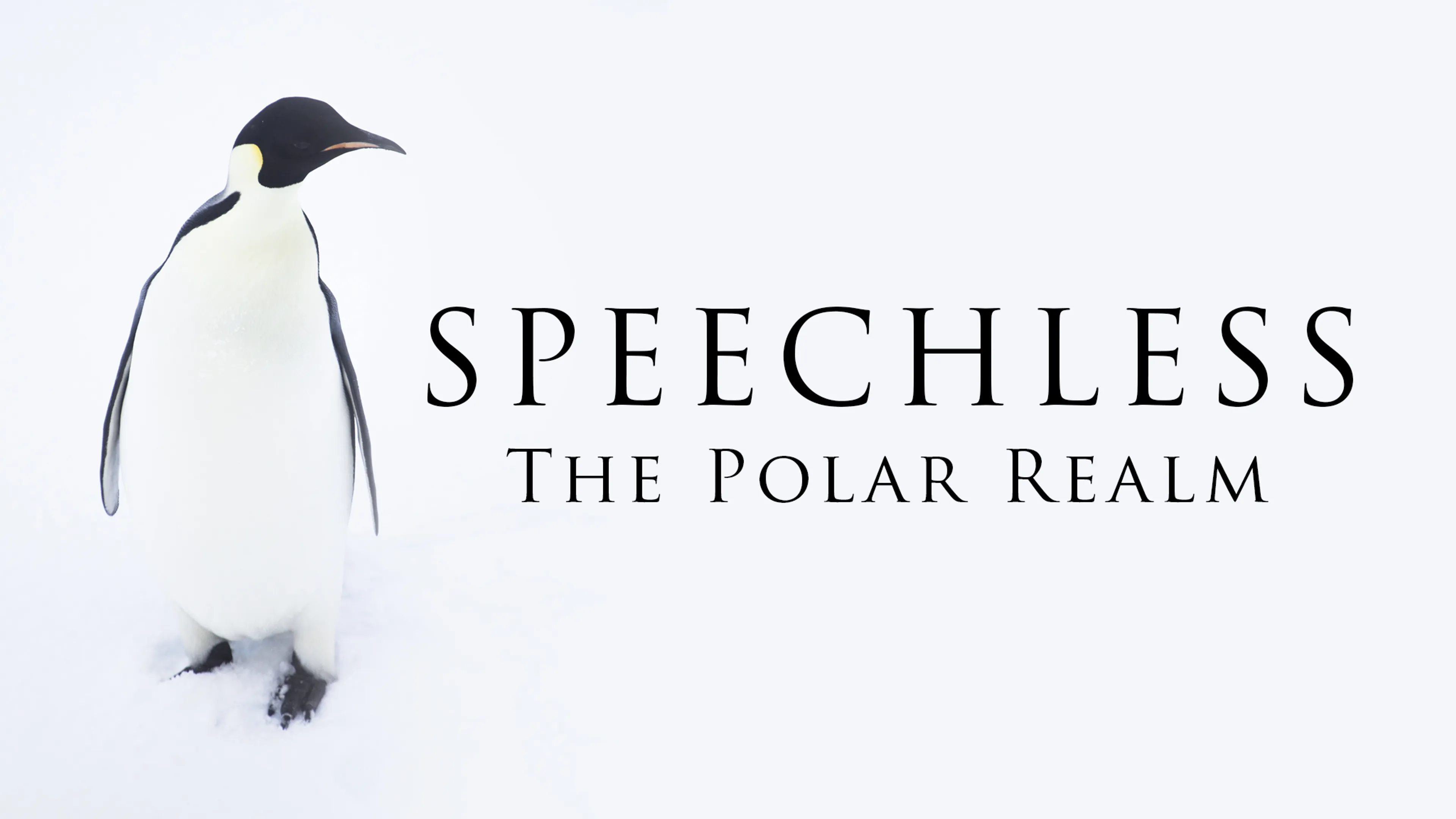 Speechless: the Polar Realm poster